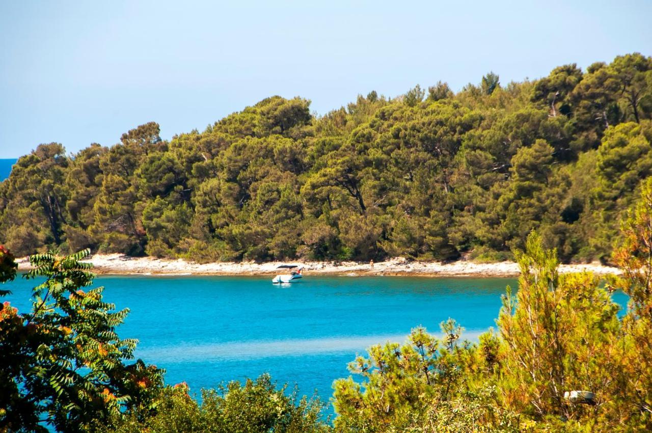 Pineta Mobile Home In Porton Biondi Camp Rovinj Bagian luar foto
